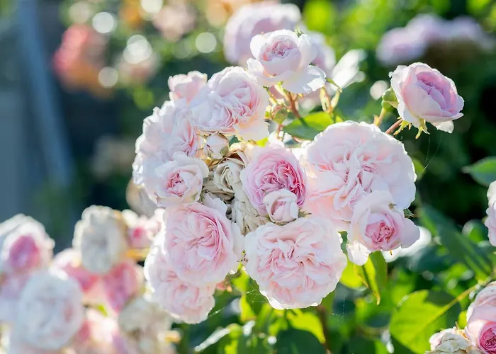 Lejlighed Kuenstlerhaus 'malkasten' Og
